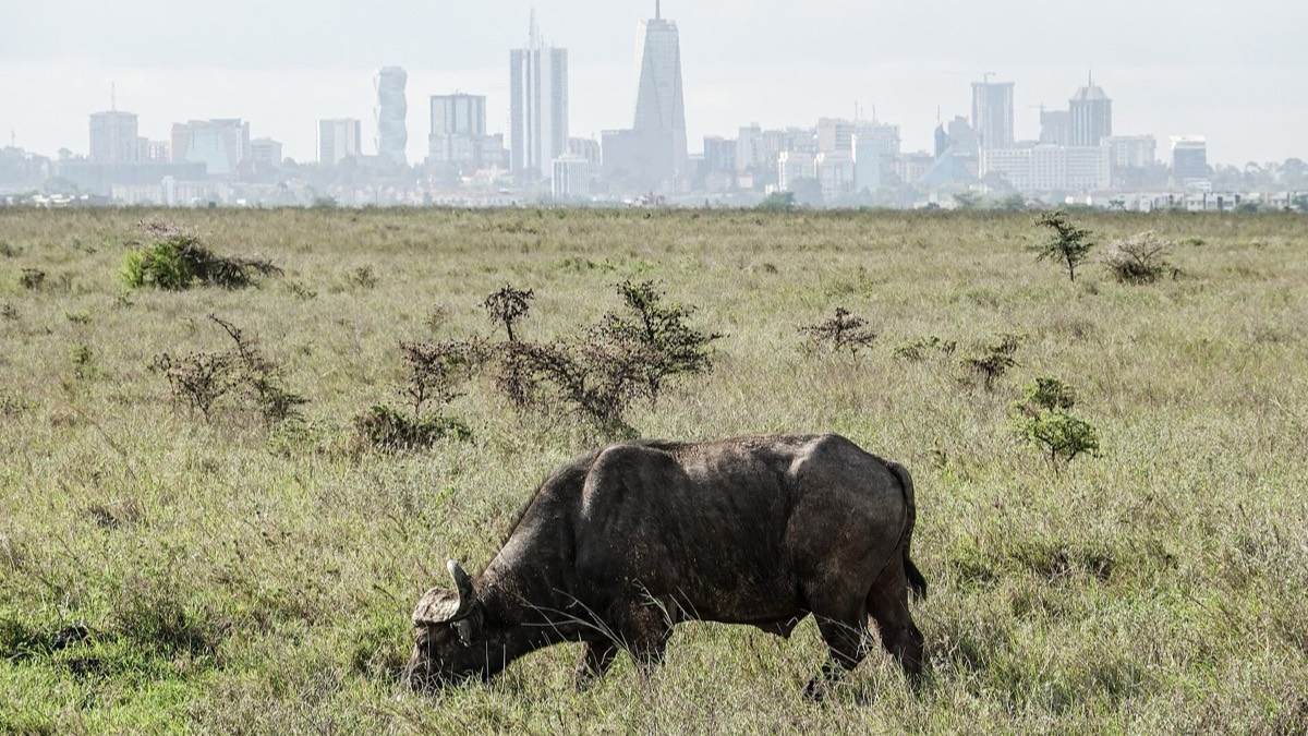 Africa