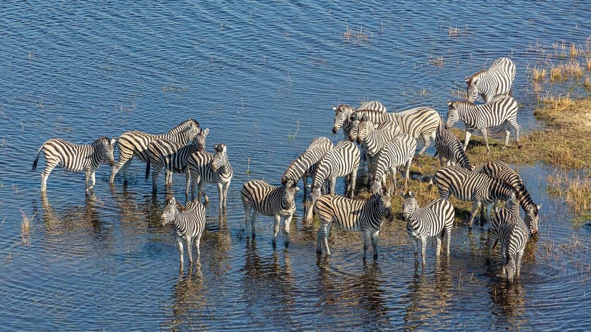 Botswana
