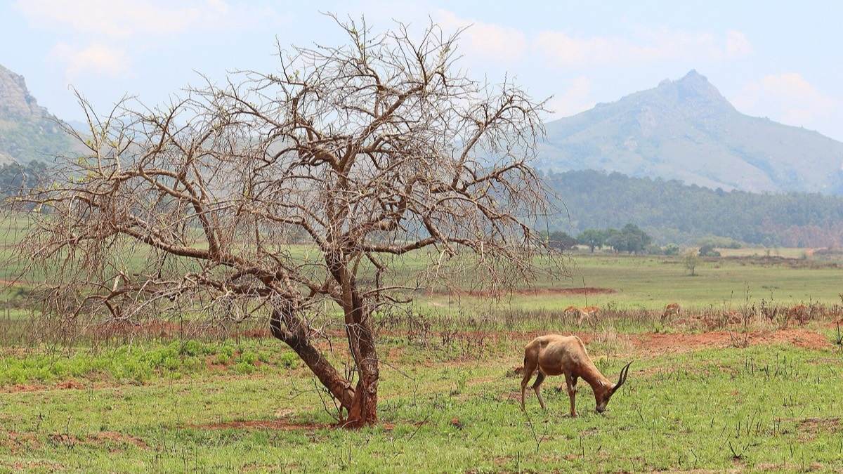 Eswatini