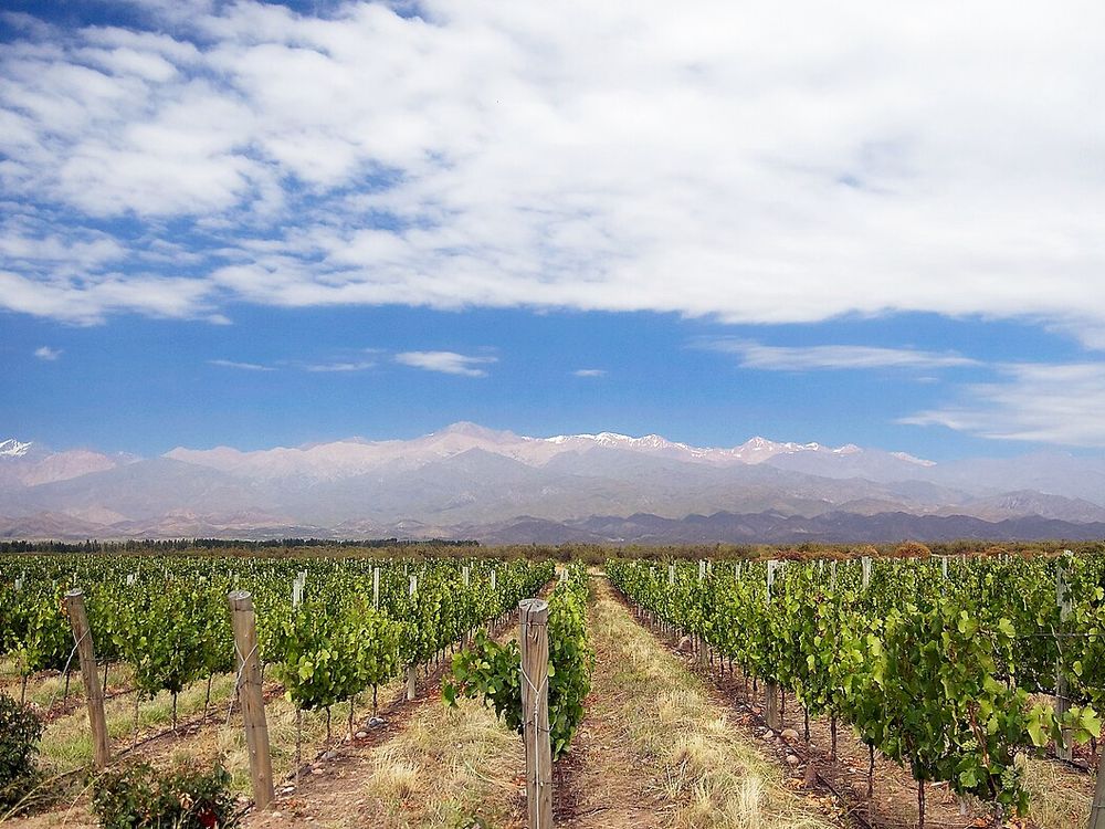 Els vinyers de Mendoza, Mendoza i la vall d'Uco