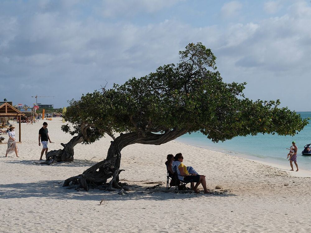 Eagle Beach, Ao norte de Oranjestad