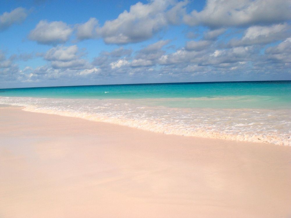 The pink sand beach of Harbour Island, Bahamas