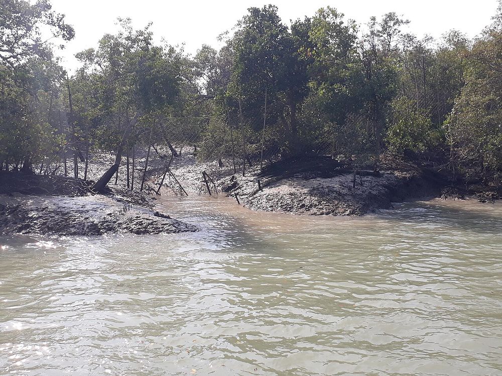 Los Sundarbans, División de Khulna