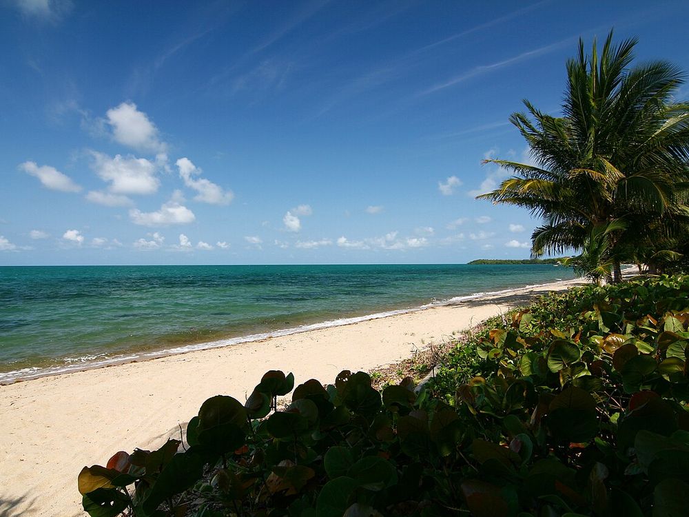 Hopkins, Costa de Stann Creek