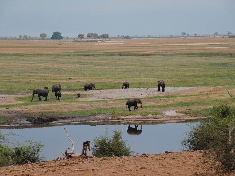 La orilla del Chobe, Kasane