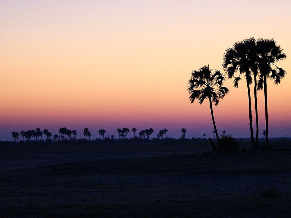 Los salares de Makgadikgadi, Centro de Botsuana, cerca de Gweta y Nata