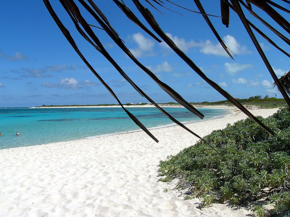 Loblolly Bay, Anegada