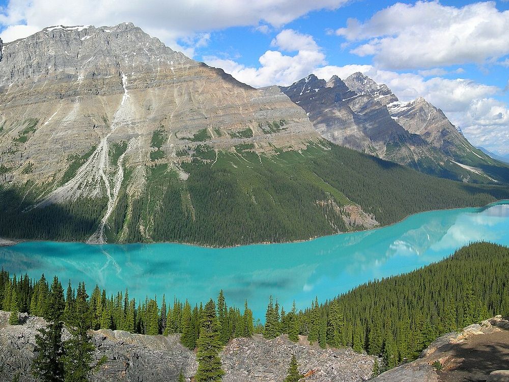 Peyto Lake, Icefields Parkway