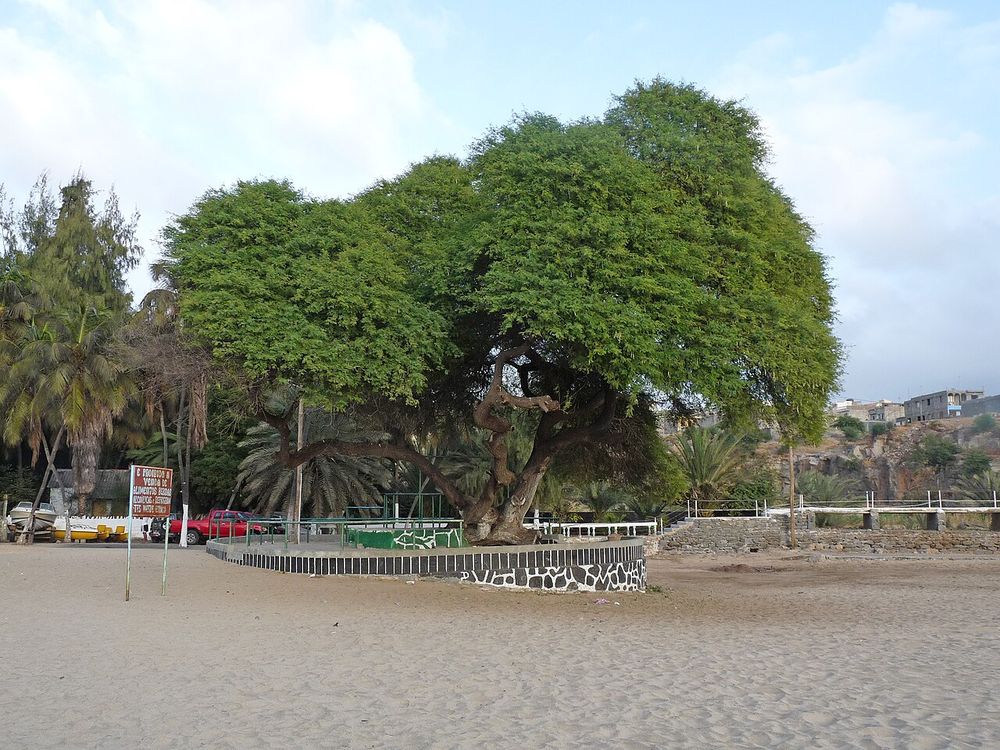 Tarrafal, Santiago