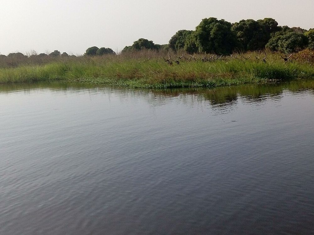 O lago Chade, Oeste do Chade, em volta de Bol