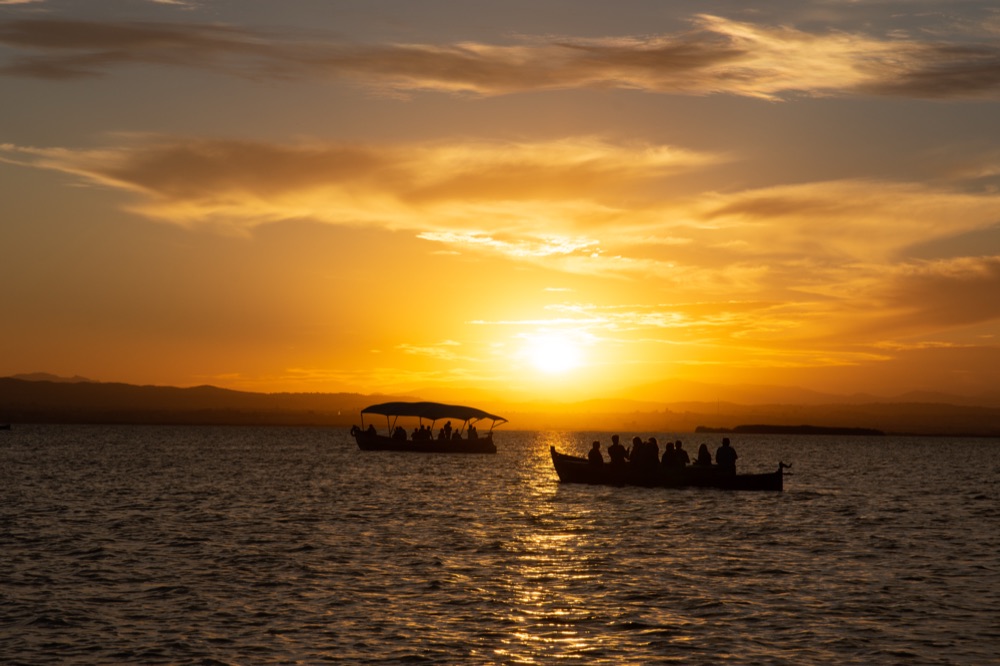 The Albufera, South of the city, a short trip