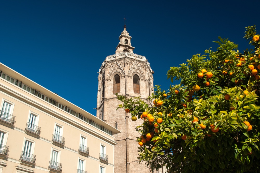 The Cathedral and the Miguelete, Old town