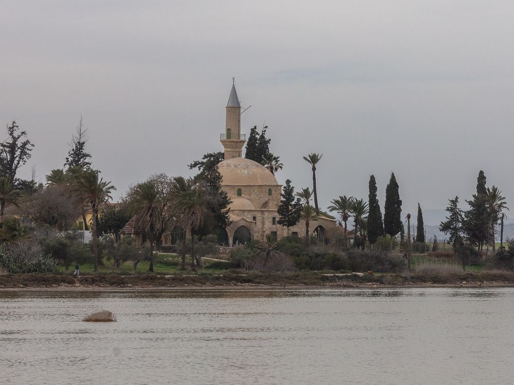 Hala Sultan Tekke e il lago salato, Larnaca