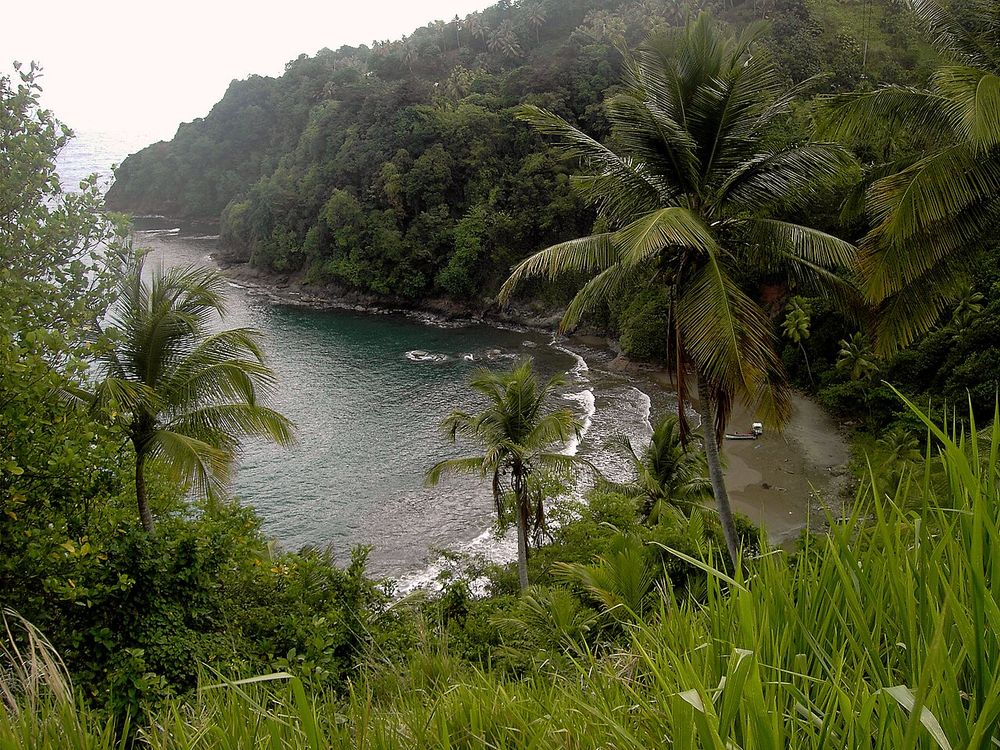 Il Territorio Kalinago, Costa est