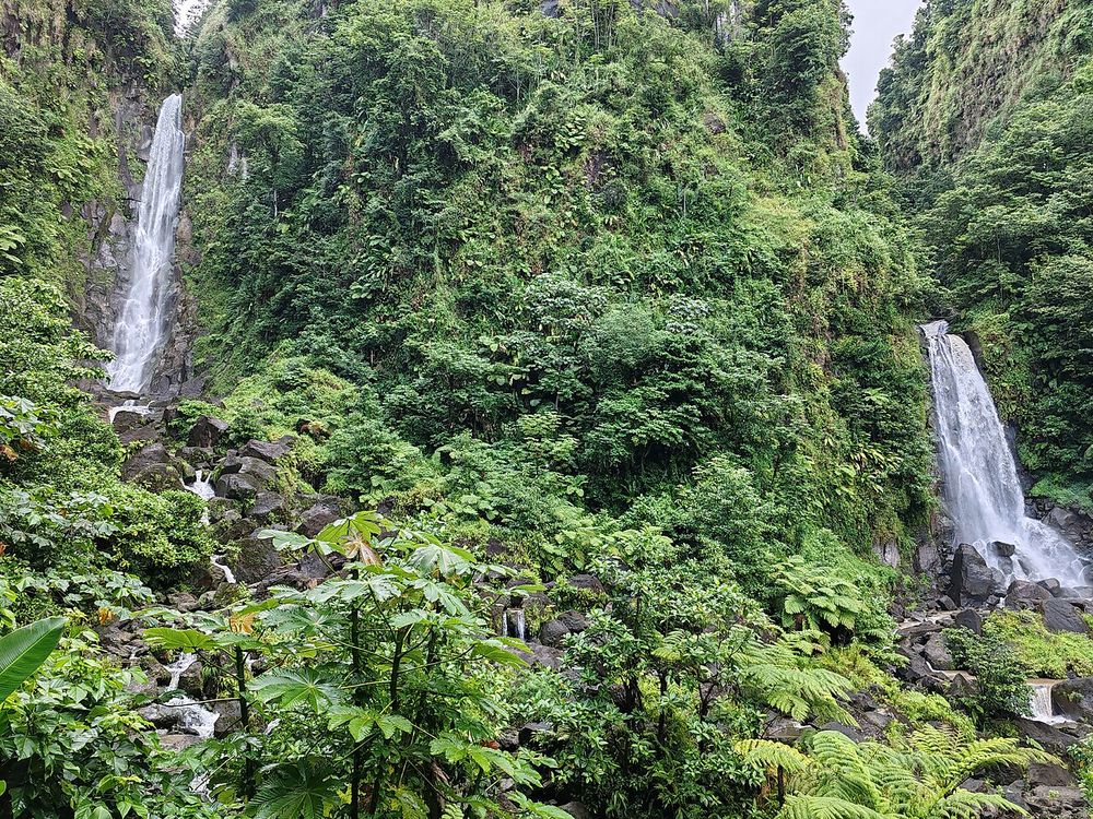 Trafalgar Falls, Roseau Valley