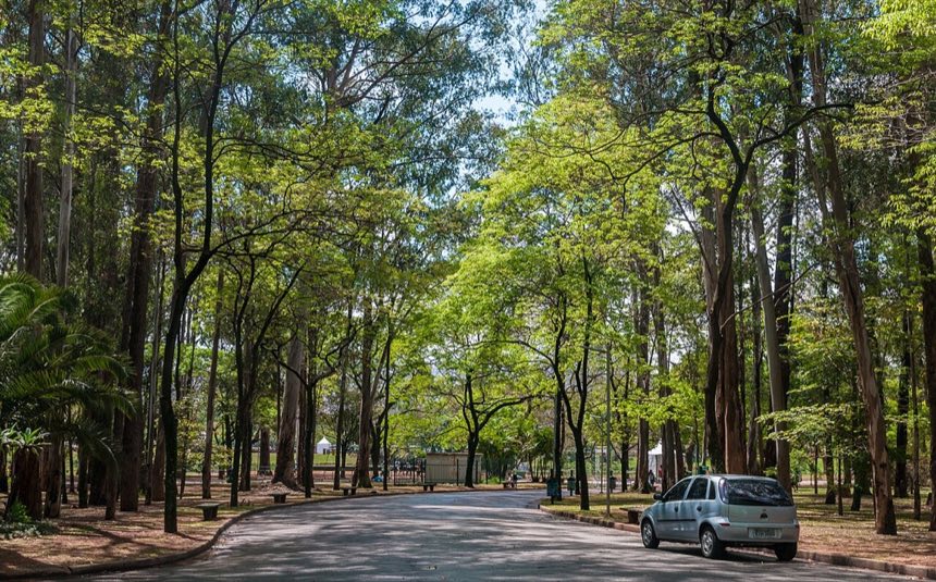 Ibirapuera Park, South-central São Paulo