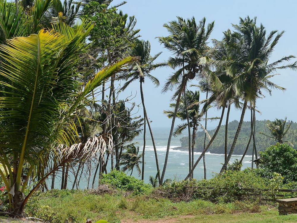 Les îles du Salut, Au large de Kourou