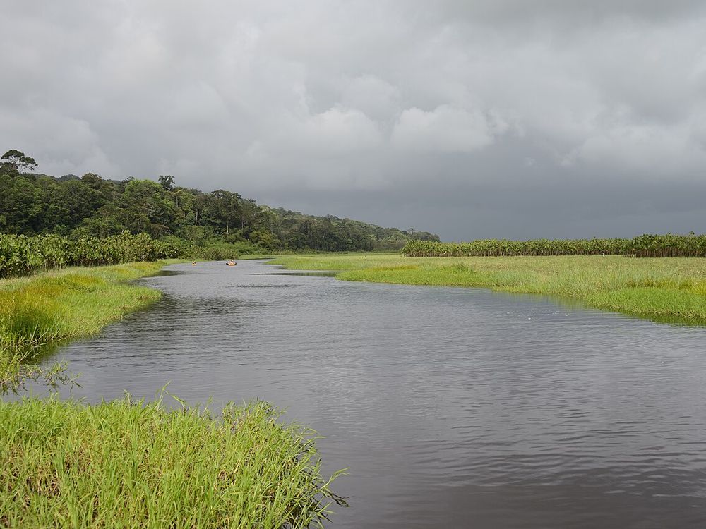 Les marais de Kaw, Réserve naturelle de Kaw-Roura