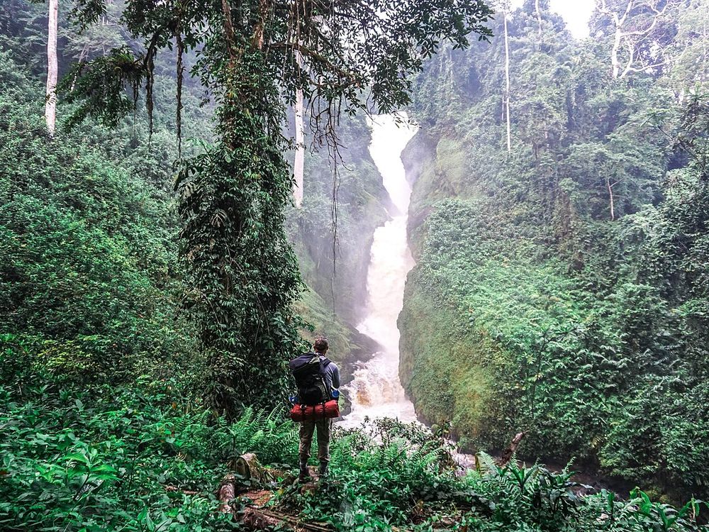 Parco nazionale di Ivindo, Vicino a Makokou, Gabon nord-orientale