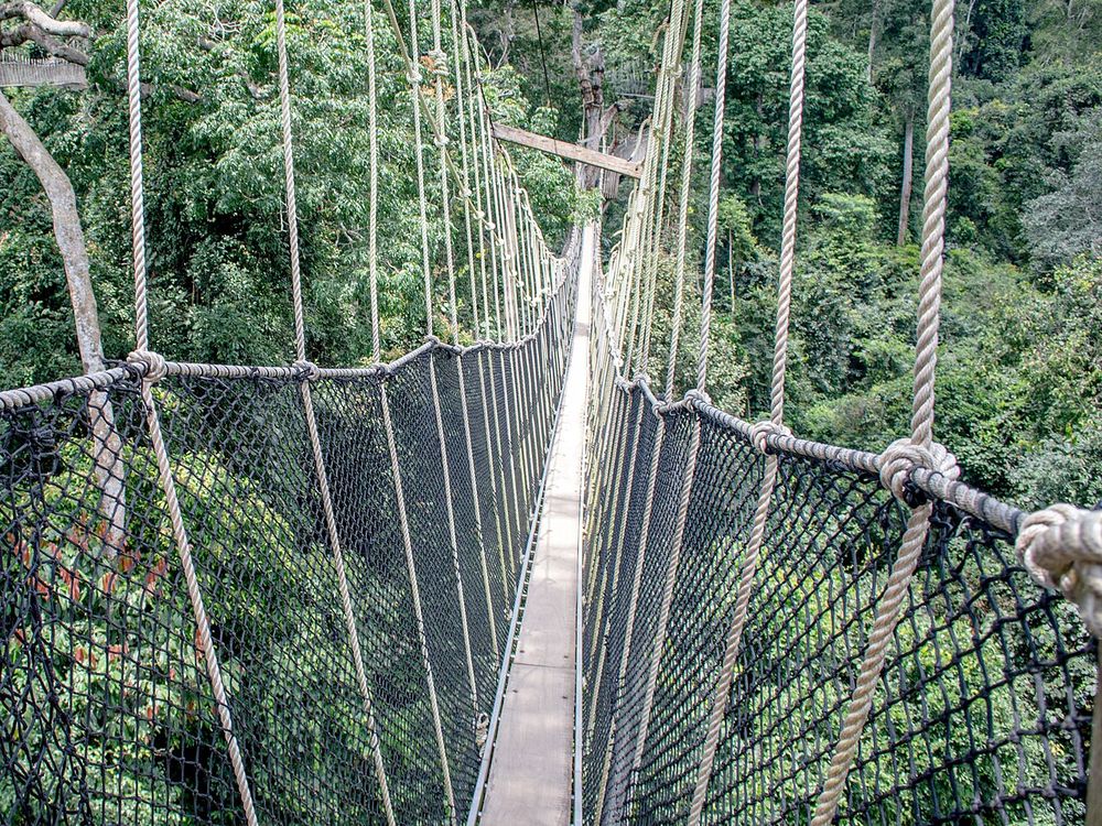 Parque Nacional de Kakum, Ao norte de Cape Coast