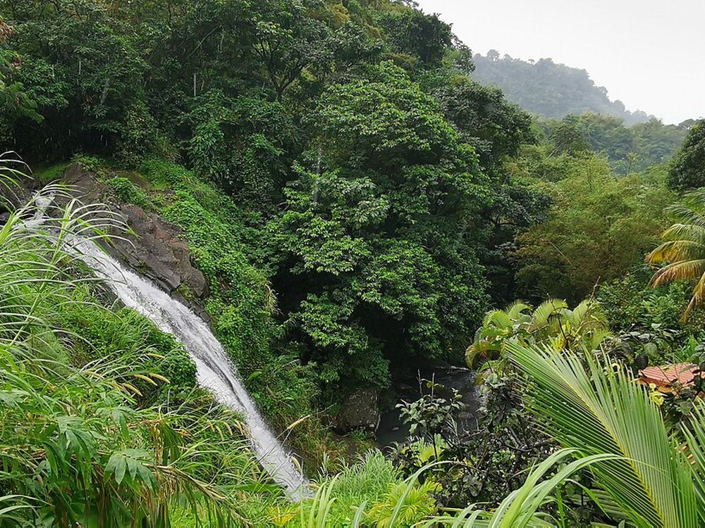 Concord Falls, St John, nell'entroterra della costa ovest