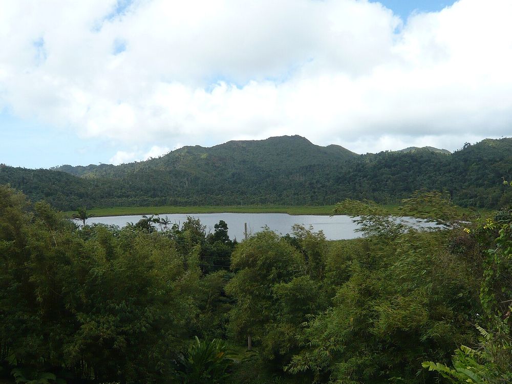 Lago di Grand Etang, Parco nazionale di Grand Etang, l'interno