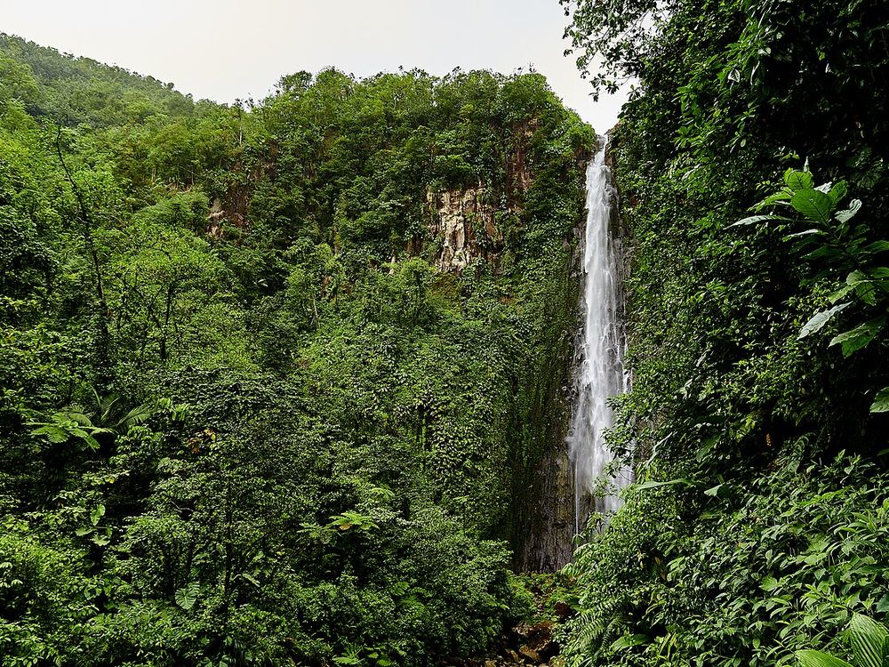 Chutes du Carbet, Capesterre-Belle-Eau, Basse-Terre