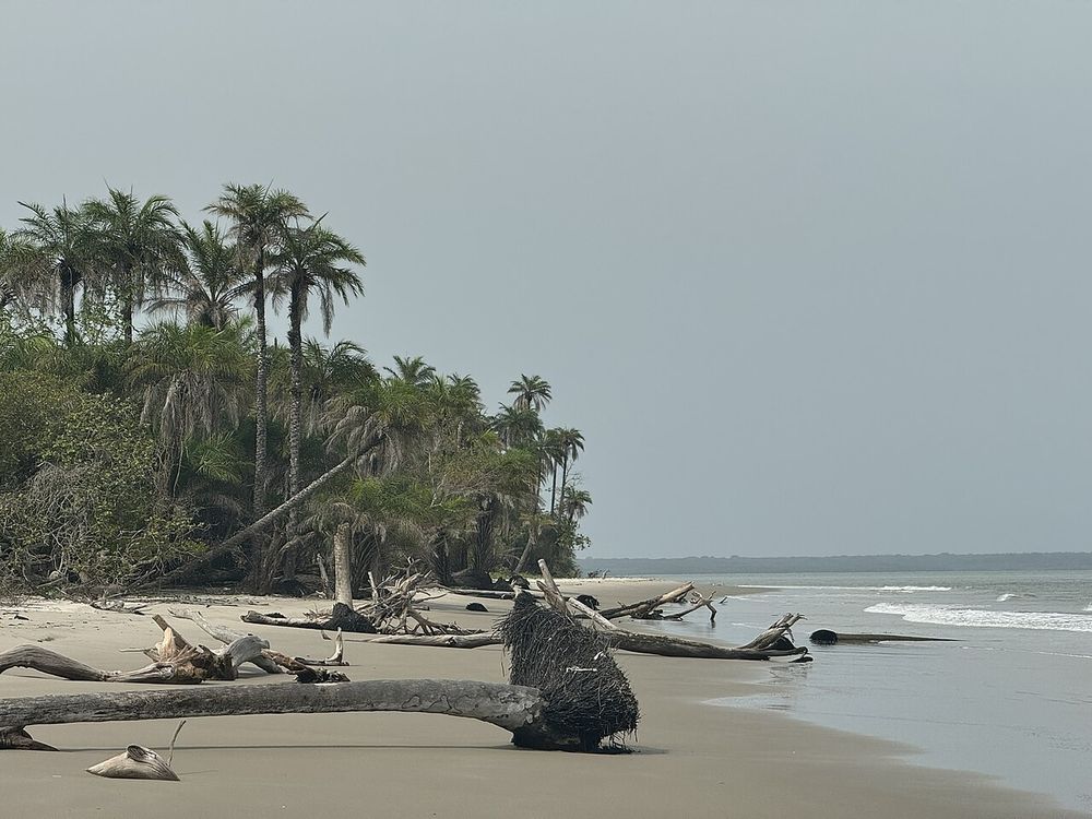Bubaque e Bruce Beach, Isole Bijagós