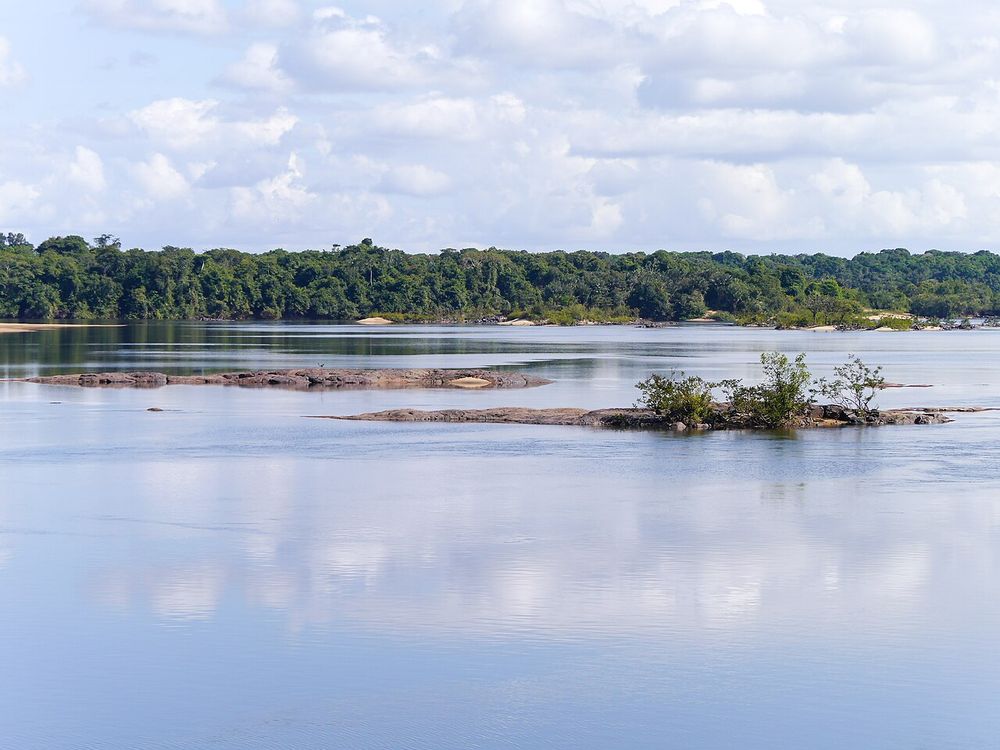 Het Iwokramawoud, Aan de Essequibo, op de weg naar Lethem