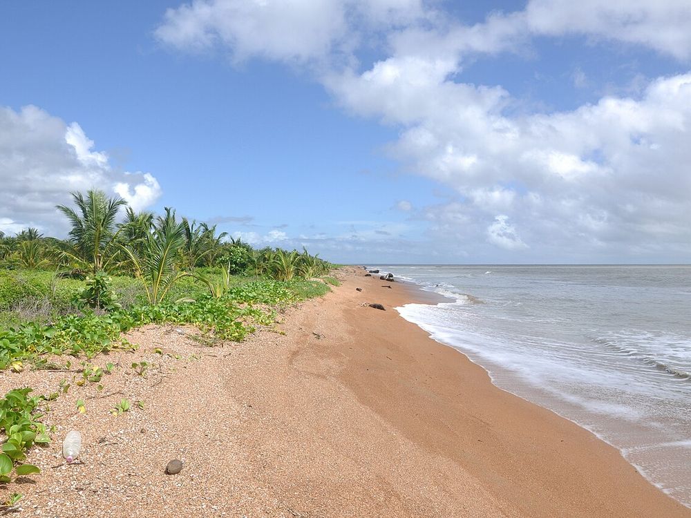 Shell Beach, Barima-Waini, noordwestkust