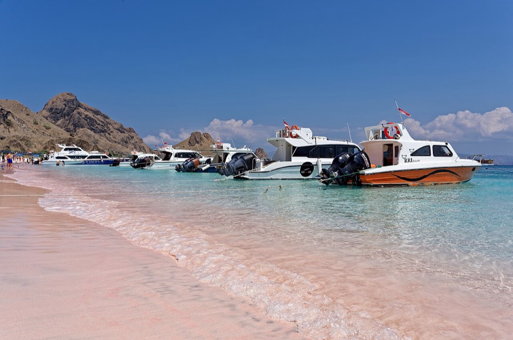 The pink beaches, Padar and Komodo islands
