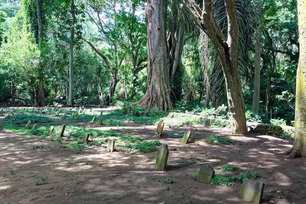 Sacred Monkey Forest Sanctuary, south end of Monkey Forest Road