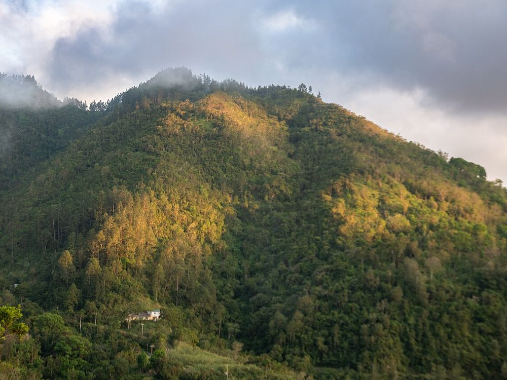 Die Blue Mountains, Oberhalb von Kingston