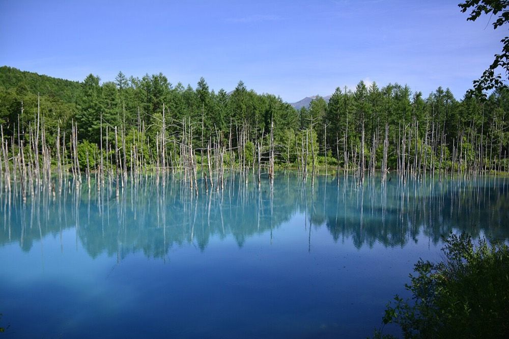 The Blue Pond, Shirogane, Biei