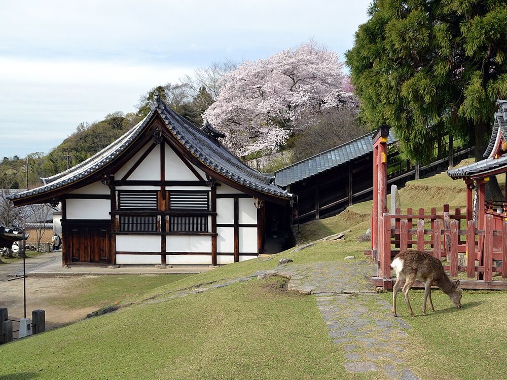 Todai-ji i els cérvols de Nara, Nara