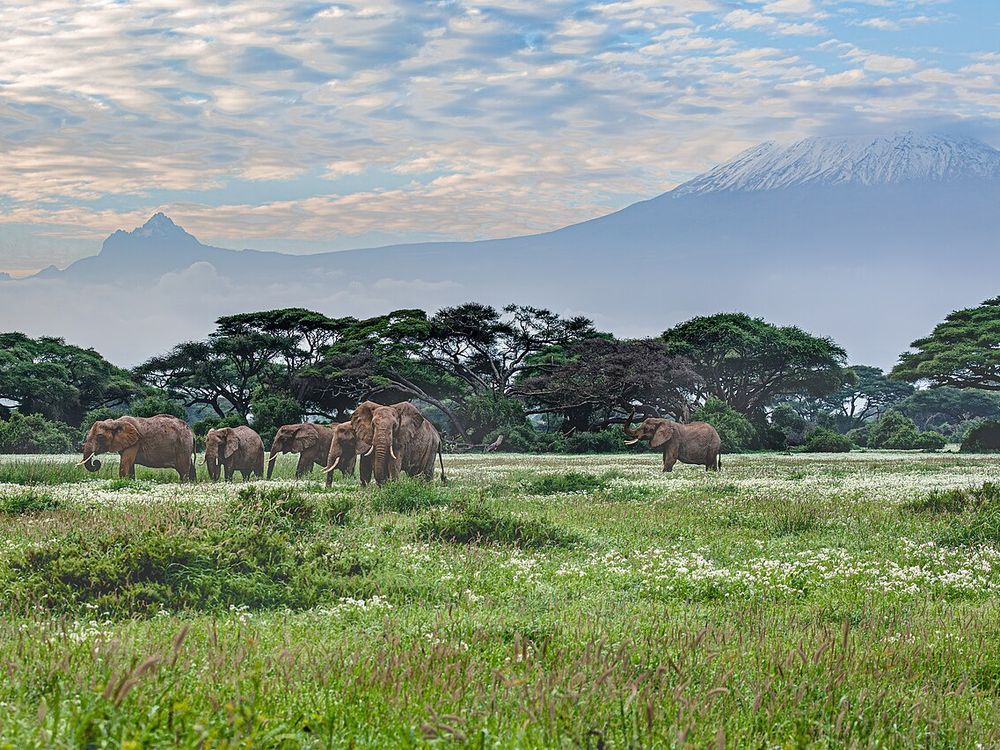 Amboseli, Kajiado County
