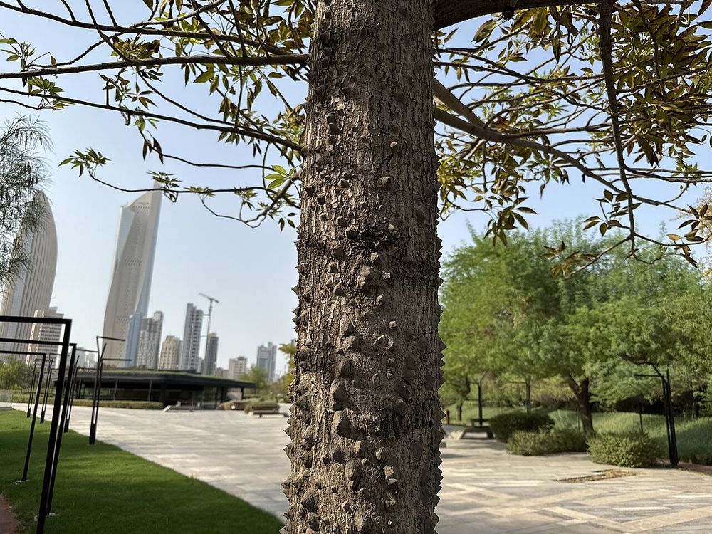 Al Shaheed Park, Cidade do Kuwait