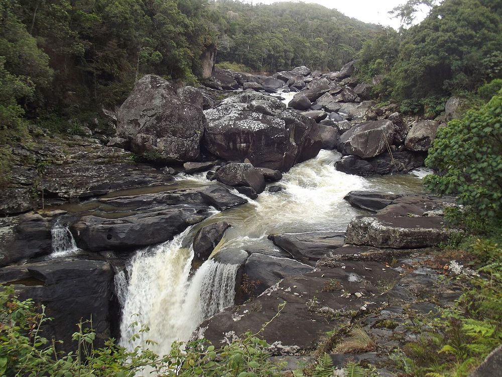 El Parque Nacional de Ranomafana, Tierras altas del sur, en la RN7