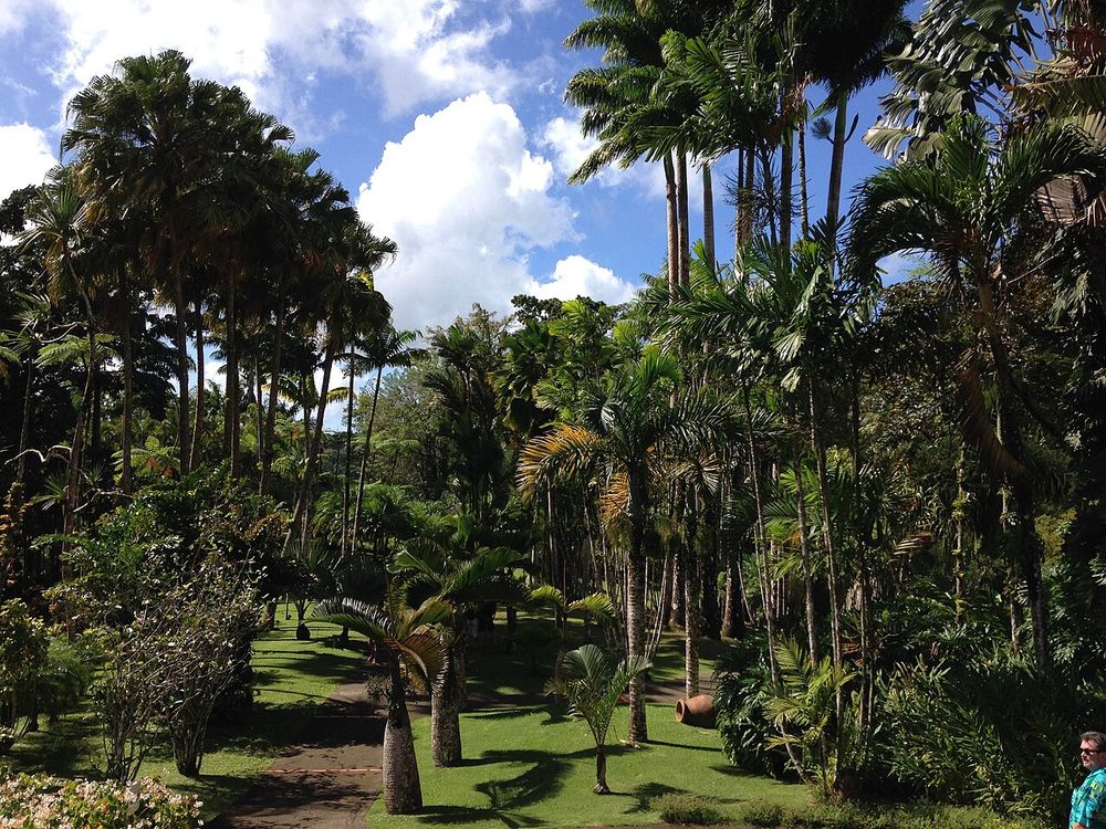 Jardin de Balata, Route de la Trace, ten noorden van Fort-de-France