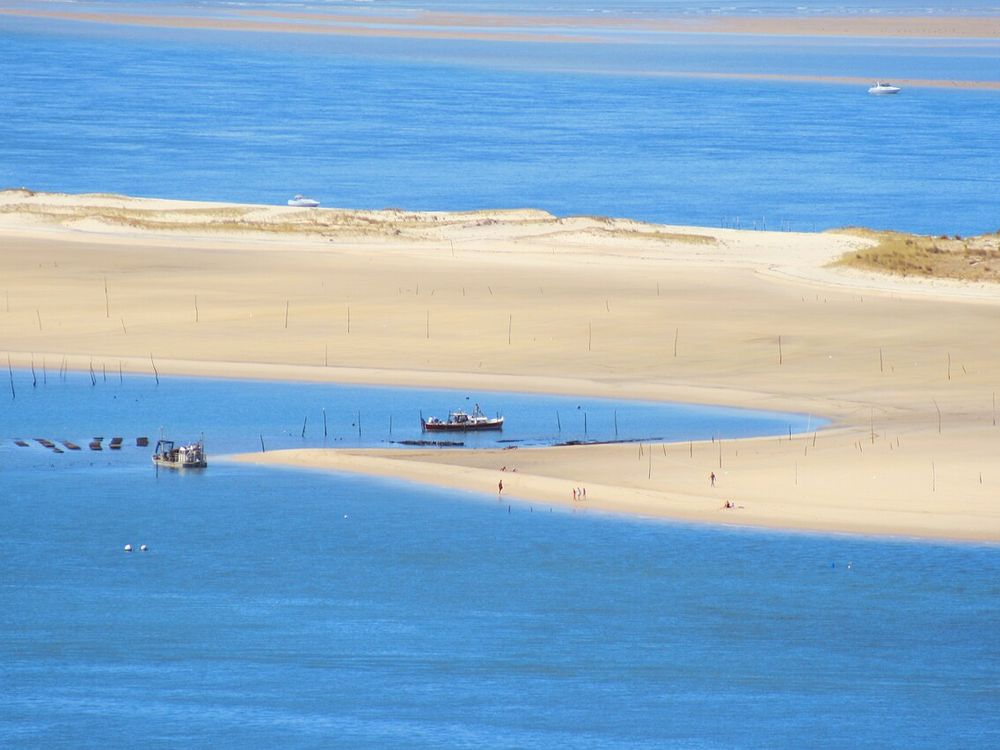 Parque Nacional del Banc d'Arguin, La costa entre Nuakchot y Nuadibú