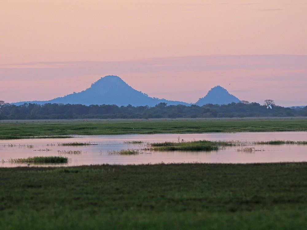 De berg Gorongosa boven de vloedvlakte, Nationaal Park Gorongosa