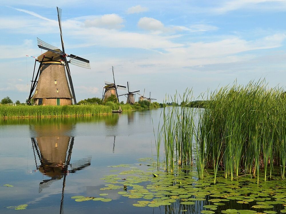 Møllerne i Kinderdijk, nær Rotterdam