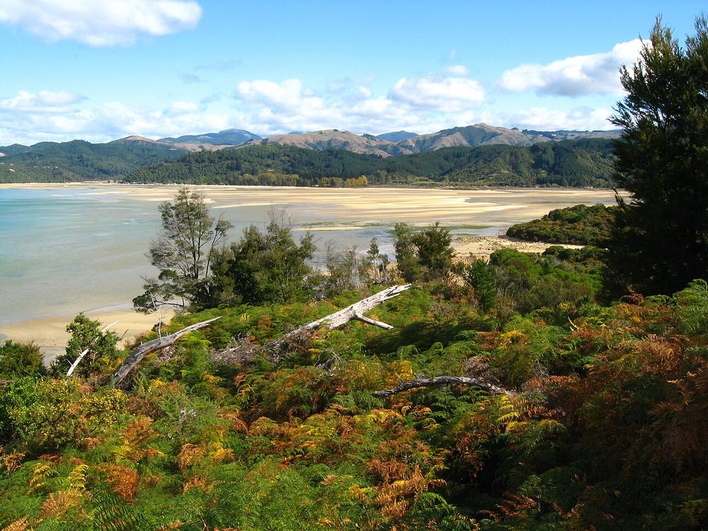 Parc Nacional Abel Tasman, Prop de Nelson i Motueka