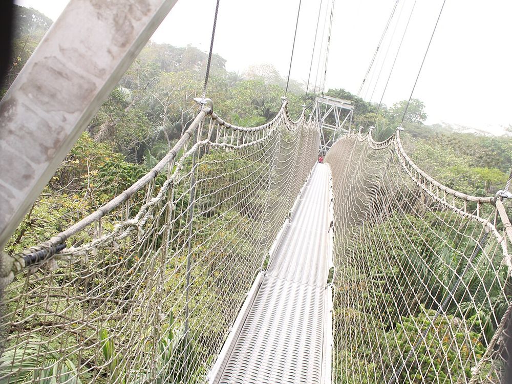 Lekki Conservation Centre, Lekki, Lagos