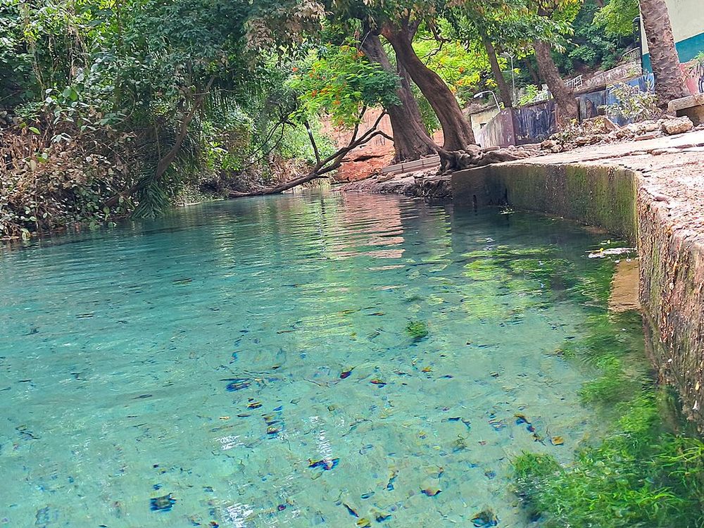 Yankari e la sorgente calda di Wikki, Stato di Bauchi