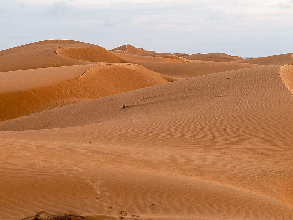 Las arenas de Wahiba, Sharqiya, cerca de Bidiyah