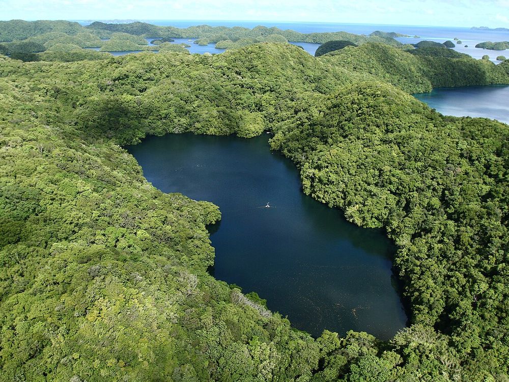 El Lago de las Medusas, Eil Malk, Islas de la Roca