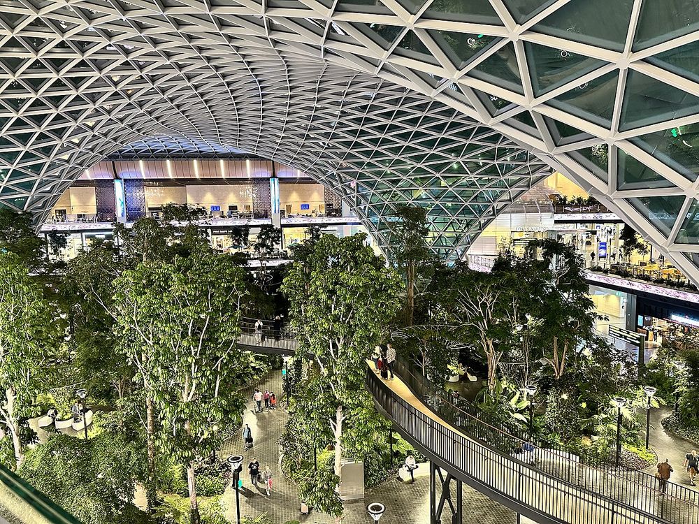 The indoor garden under the glass roof of Hamad International Airport in Doha