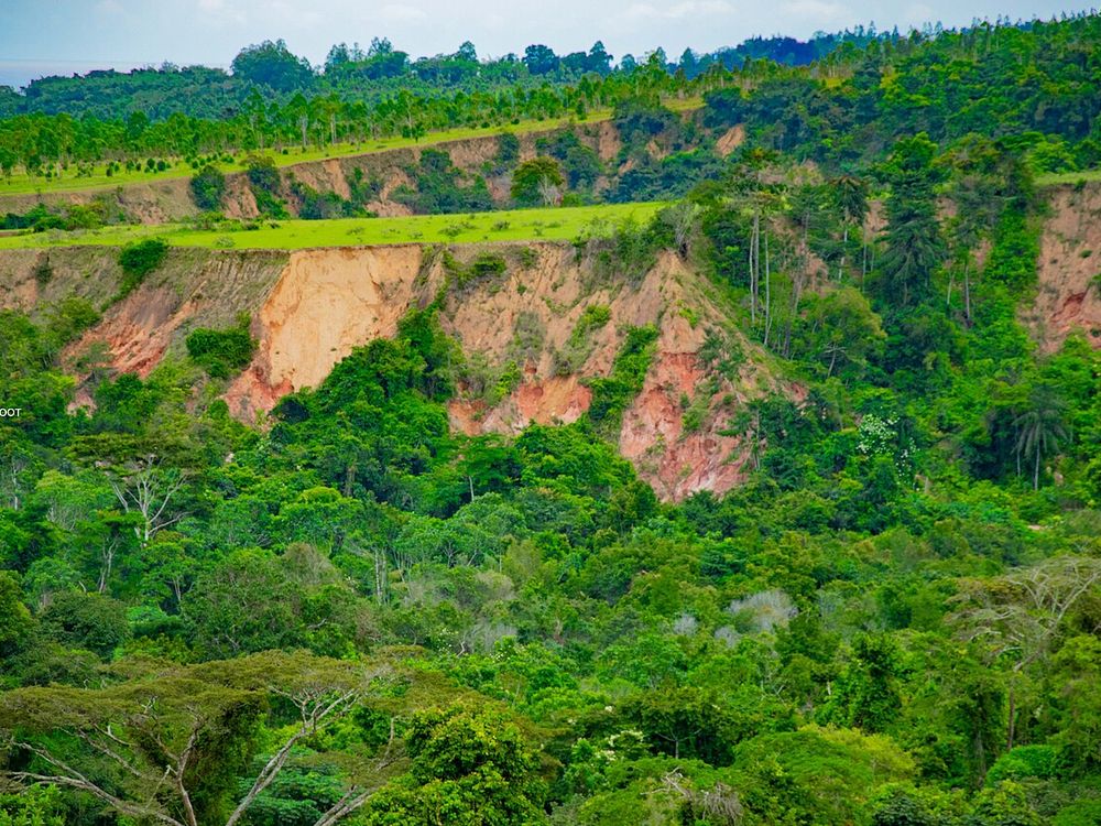 La gola di Diosso, Vicino a Loango, a nord di Pointe-Noire