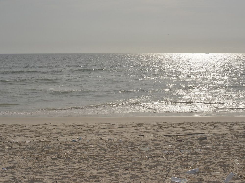 La Côte Sauvage, Pointe-Noire